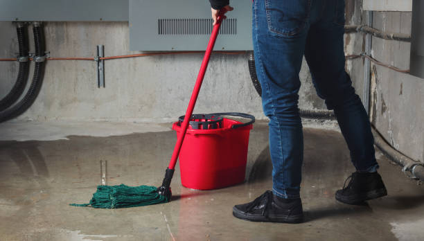 Best Carpet water damage restoration  in North Adams, MA