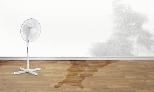 Best Sewage cleanup and water damage restoration  in North Adams, MA