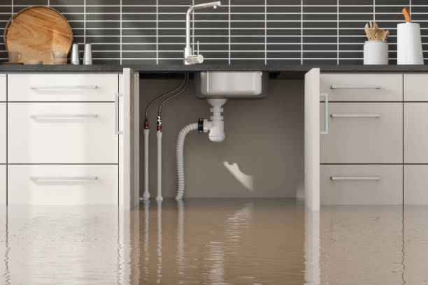 Best Residential water damage restoration  in North Adams, MA