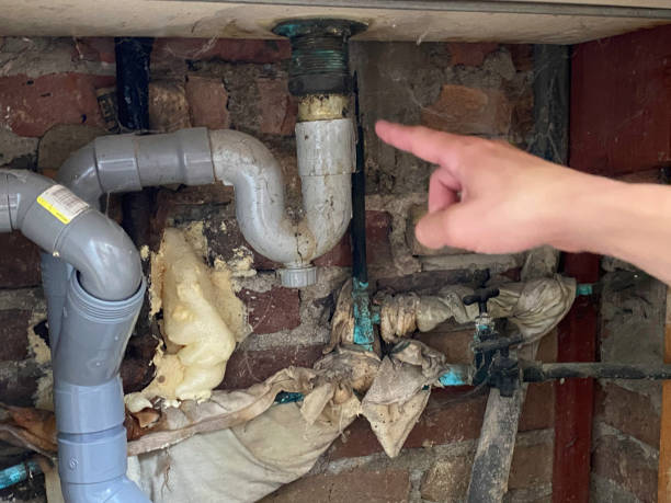 Best Water damage contractors near me  in North Adams, MA